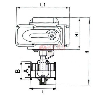 電動(dòng)衛(wèi)生級蝶閥結(jié)構(gòu)圖