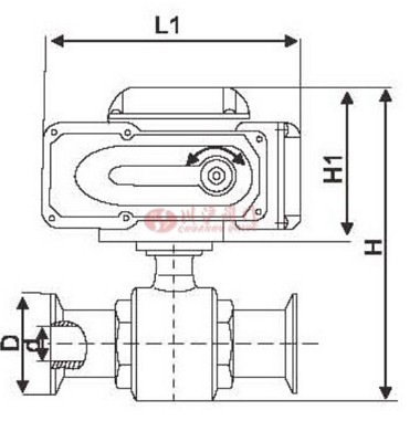 電動衛(wèi)生級球閥 結構圖